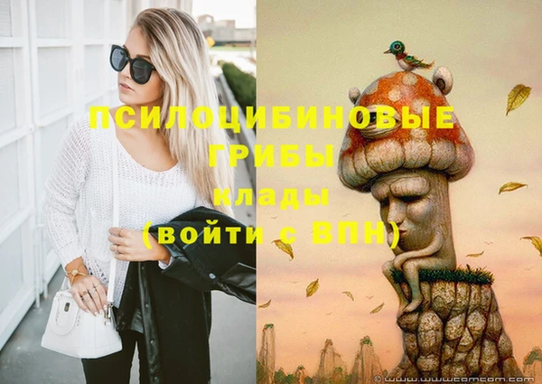 меф Кинешма